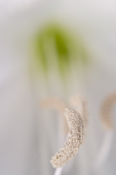 Similar image 8182203