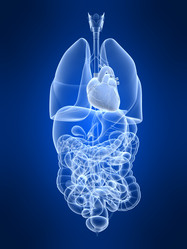 Similar image 8182204