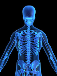 Similar image 8182237