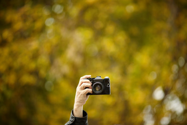 Similar image 8182272