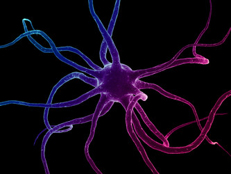 Similar image 8182276