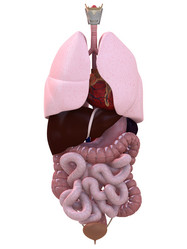 Similar image 8182292