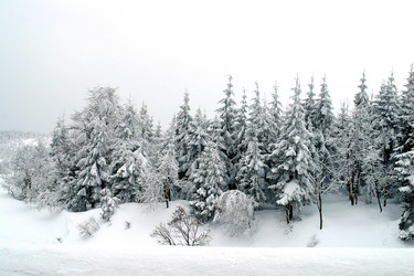 Similar image 8182298