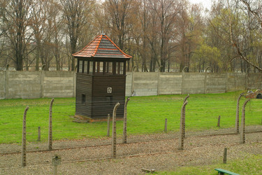 Similar image 8182300