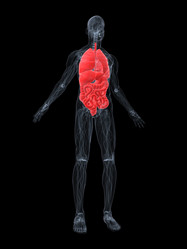 Similar image 8182310