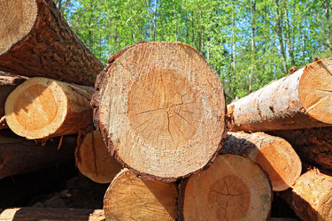 Similar image 8182318