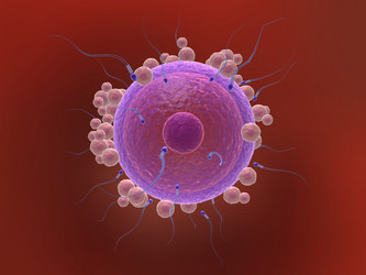 Similar image 8182342