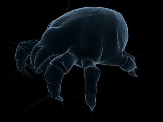 Similar image 8182388