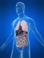 Similar image 8182400