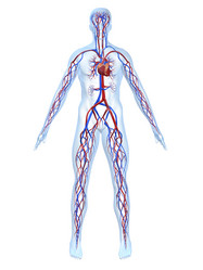 Similar image 8182405