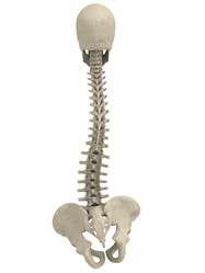 Similar image 8182433