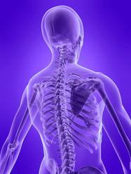 Similar image 8182435