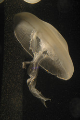 Similar image 8182520