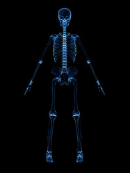 Similar image 8182537