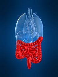 Similar image 8182581