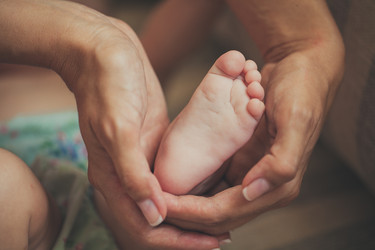 Similar image 8182682