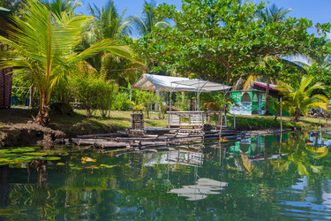 Similar image 8183001