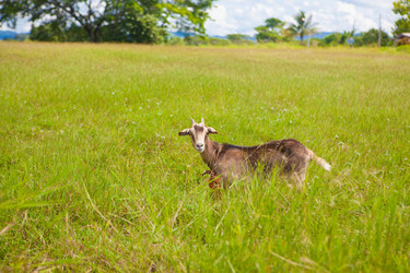 Similar image 8183002