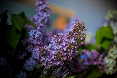 Similar image 8183004