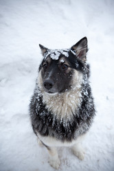 Similar image 8183005