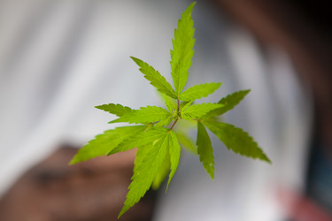 Similar image 8183018