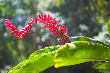 Similar image 8183019