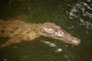 Similar image 8183020