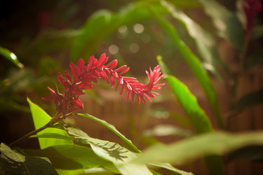 Similar image 8183022