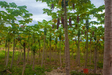 Similar image 8183023