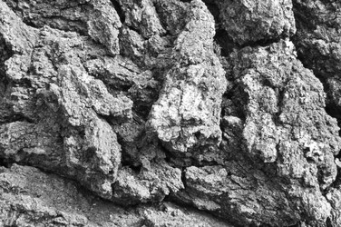 Similar image 8183049