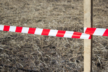 Similar image 8183071