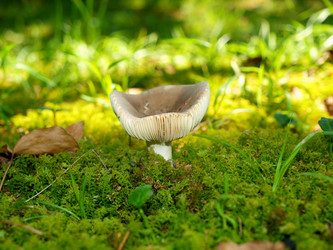 Similar image 8183075