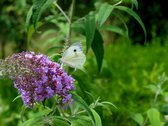 Similar image 8183077