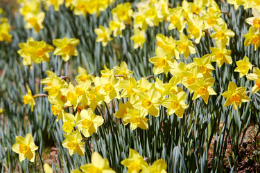 Similar image 8183157