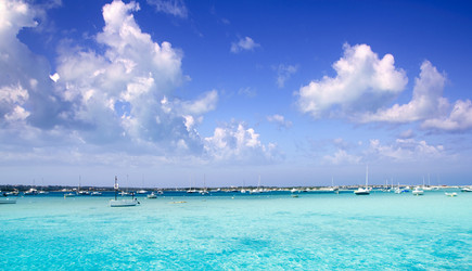 Similar image 8183177