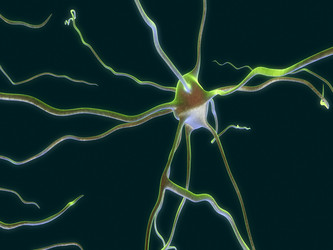 Similar image 8183195