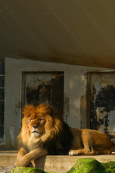 Similar image 8183200