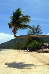 Similar image 8183211