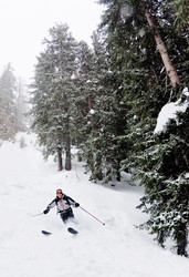 Similar image 8183216