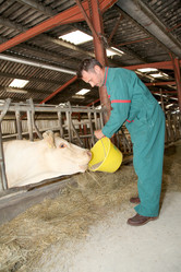 Similar image 8183229