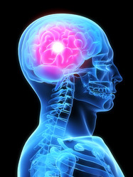 Similar image 8183304