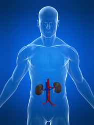 Similar image 8183305