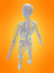 Similar image 8183332