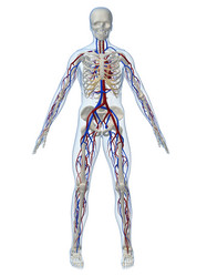 Similar image 8183334