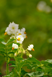 Similar image 8183350