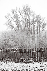 Similar image 8183352