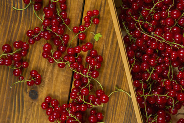 Similar image 8183494