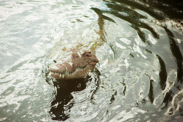 Similar image 8183501