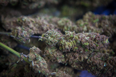 Similar image 8183503