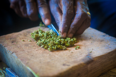 Similar image 8183504